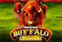 BUFFALO RUN