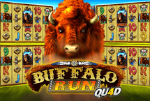 BUFFALO RUN QU4D