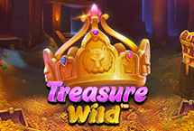 TREASURE WILD